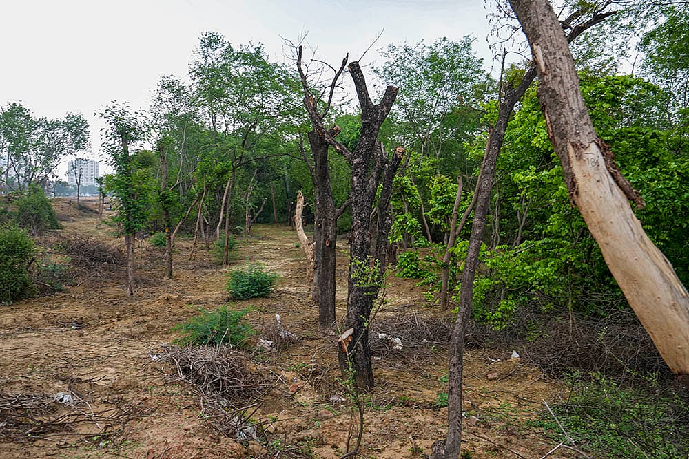 A recent order by the Allahabad High Court deals with both questions, while setting aside a 2021 decision that had denied forest rights to members of the Tharu community in Lakhimpur Kheri. - | Photo: PTI/Atul Yadav
